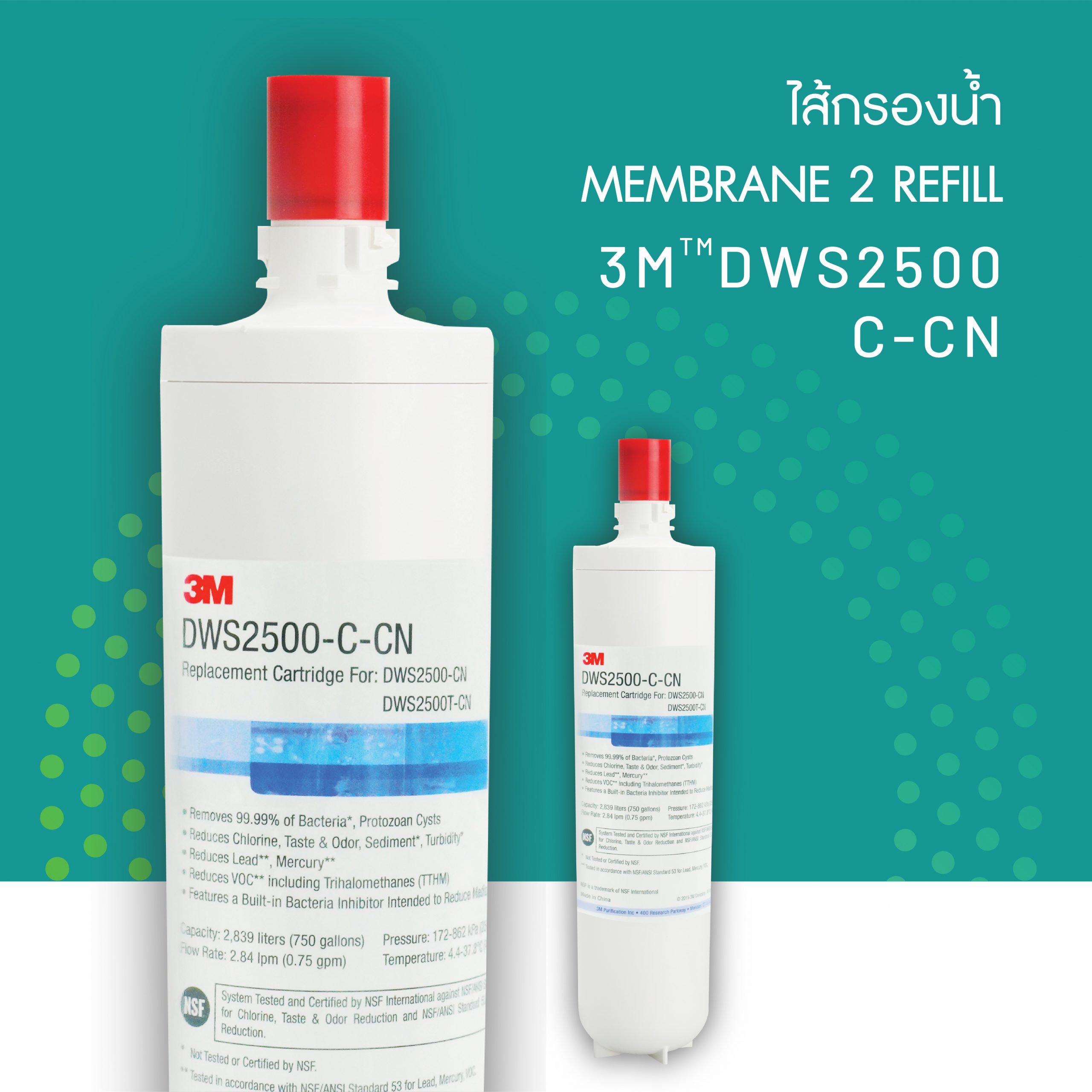 3M AQUA-PURE เครื่องกรองน้ำ-14